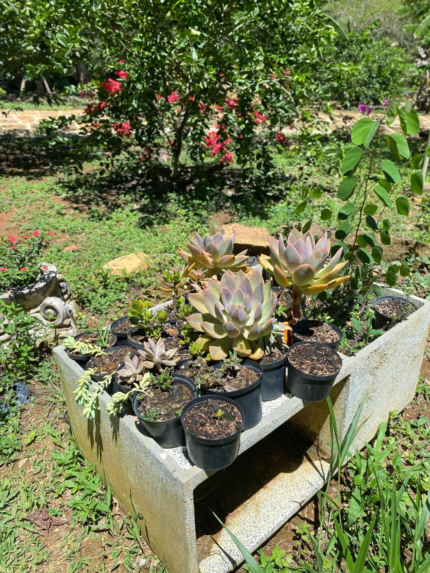 בריצ'ארה Hostal Villa San Rafael מראה חיצוני תמונה