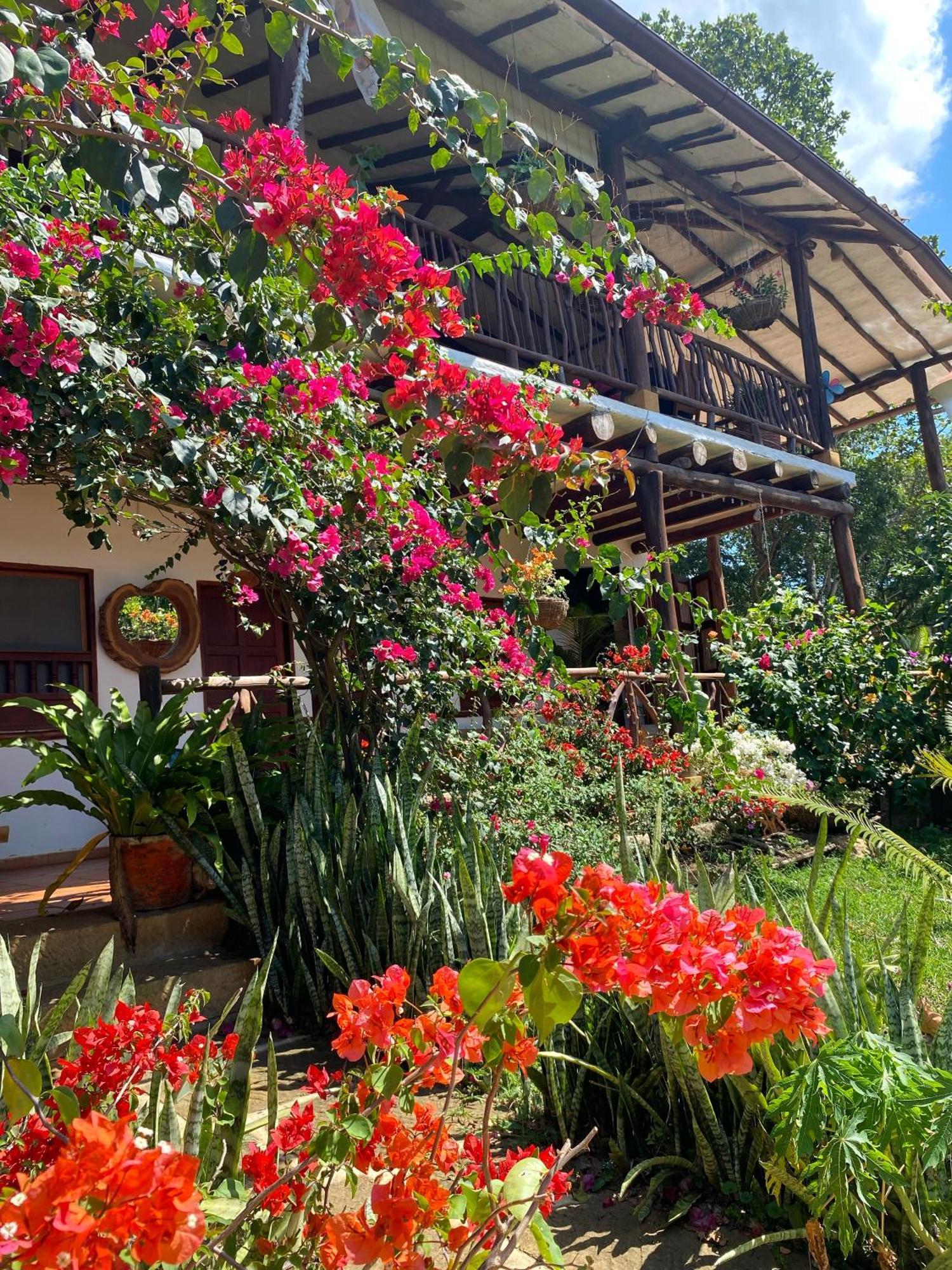 בריצ'ארה Hostal Villa San Rafael מראה חיצוני תמונה